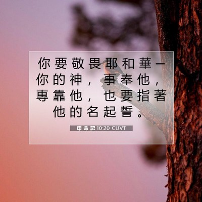 Picture 07 - 申 命 記 10:20 CUVT - 你 要 敬 畏 耶 和 華 ─ 你 的 神 ， - Bible Verse Picture