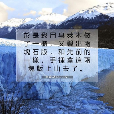 Picture 07 - 申 命 記 10:3 CUVT - 於 是 我 用 皂 莢 木 做 了 一 櫃 ， - Bible Verse Picture
