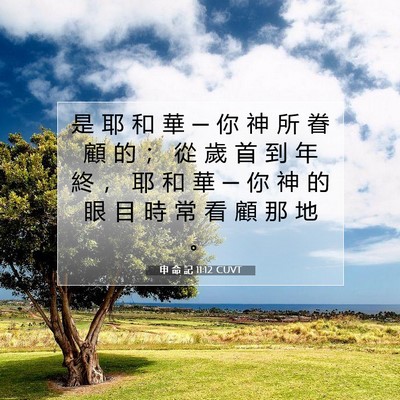 Picture 07 - 申 命 記 11:12 CUVT - 是 耶 和 華 ─ 你 神 所 眷 顧 的 ； - Bible Verse Picture