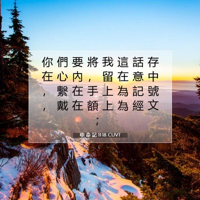 Picture 07 - 申 命 記 11:18 CUVT - 你 們 要 將 我 這 話 存 在 心 內 ， - Bible Verse Picture