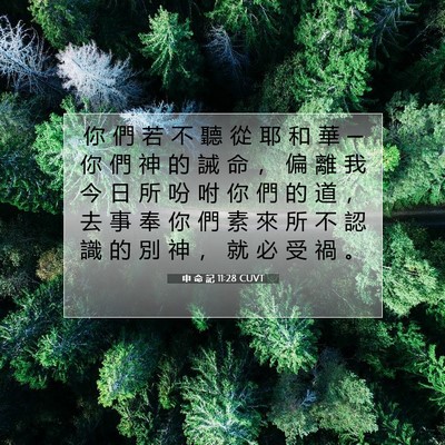 Picture 07 - 申 命 記 11:28 CUVT - 你 們 若 不 聽 從 耶 和 華 ─ 你 們 - Bible Verse Picture