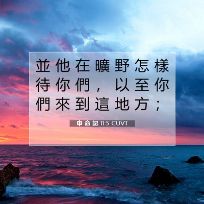 Picture 07 - 申 命 記 11:5 CUVT - 並 他 在 曠 野 怎 樣 待 你 們 ， 以 - Bible Verse Picture