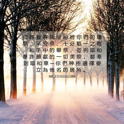 Picture 07 - 申 命 記 12:11 CUVT - 那 時 要 將 我 所 吩 咐 你 們 的 燔 - Bible Verse Picture