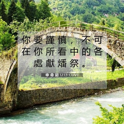 Picture 07 - 申 命 記 12:13 CUVT - 你 要 謹 慎 ， 不 可 在 你 所 看 中 - Bible Verse Picture