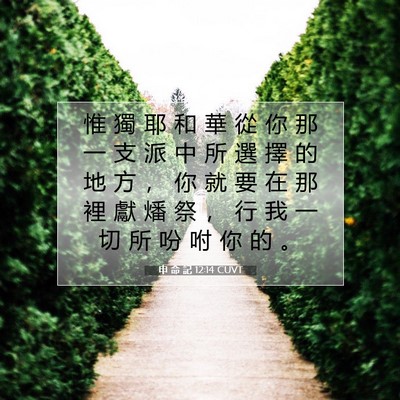 Picture 07 - 申 命 記 12:14 CUVT - 惟 獨 耶 和 華 從 你 那 一 支 派 中 - Bible Verse Picture