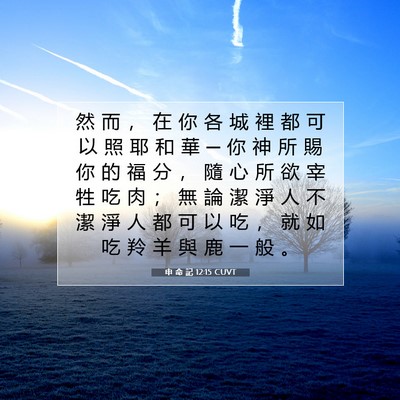 Picture 07 - 申 命 記 12:15 CUVT - 然 而 ， 在 你 各 城 裡 都 可 以 照 - Bible Verse Picture