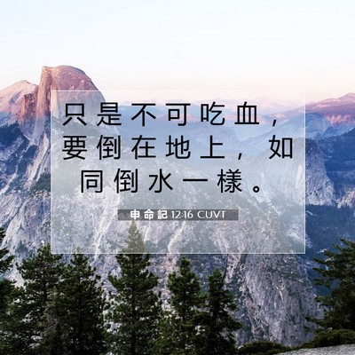 Picture 07 - 申 命 記 12:16 CUVT - 只 是 不 可 吃 血 ， 要 倒 在 地 上 - Bible Verse Picture