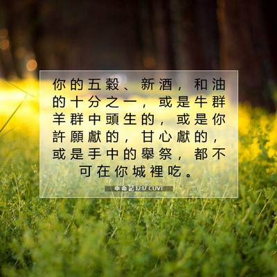 Picture 07 - 申 命 記 12:17 CUVT - 你 的 五 穀 、 新 酒 ， 和 油 的 十 - Bible Verse Picture