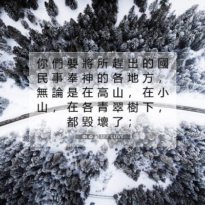 Picture 07 - 申 命 記 12:2 CUVT - 你 們 要 將 所 趕 出 的 國 民 事 奉 - Bible Verse Picture