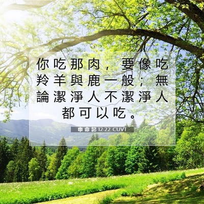 Picture 07 - 申 命 記 12:22 CUVT - 你 吃 那 肉 ， 要 像 吃 羚 羊 與 鹿 - Bible Verse Picture