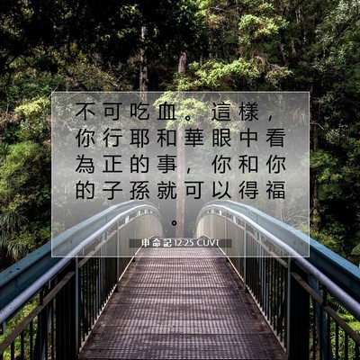 Picture 07 - 申 命 記 12:25 CUVT - 不 可 吃 血 。 這 樣 ， 你 行 耶 和 - Bible Verse Picture