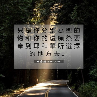 Picture 07 - 申 命 記 12:26 CUVT - 只 是 你 分 別 為 聖 的 物 和 你 的 - Bible Verse Picture