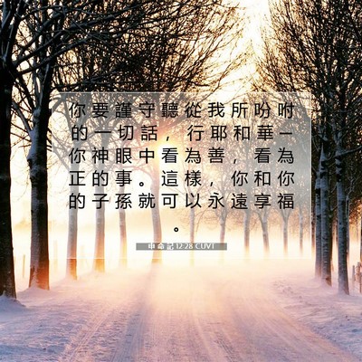 Picture 07 - 申 命 記 12:28 CUVT - 你 要 謹 守 聽 從 我 所 吩 咐 的 一 - Bible Verse Picture