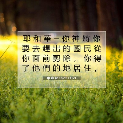 Picture 07 - 申 命 記 12:29 CUVT - 耶 和 華 ─ 你 神 將 你 要 去 趕 出 - Bible Verse Picture