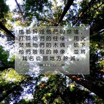 Picture 07 - 申 命 記 12:3 CUVT - 也 要 拆 毀 他 們 的 祭 壇 ， 打 碎 - Bible Verse Picture
