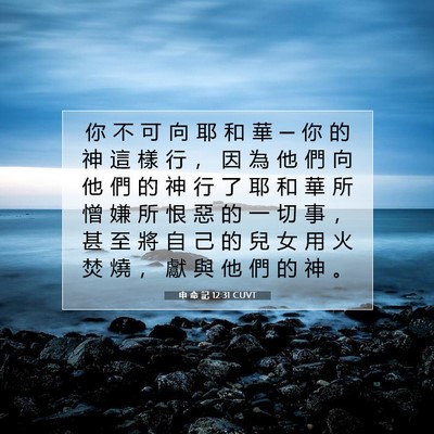 Picture 07 - 申 命 記 12:31 CUVT - 你 不 可 向 耶 和 華 ─ 你 的 神 這 - Bible Verse Picture
