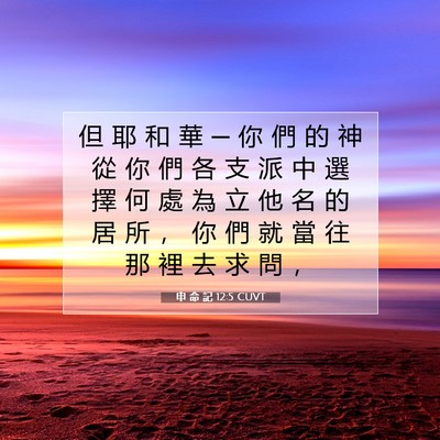 Picture 07 - 申 命 記 12:5 CUVT - 但 耶 和 華 ─ 你 們 的 神 從 你 們 - Bible Verse Picture
