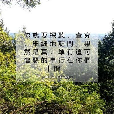 Picture 07 - 申 命 記 13:14 CUVT - 你 就 要 探 聽 ， 查 究 ， 細 細 地 - Bible Verse Picture