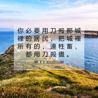 Picture 07 - 申 命 記 13:15 CUVT - 你 必 要 用 刀 殺 那 城 裡 的 居 民 - Bible Verse Picture