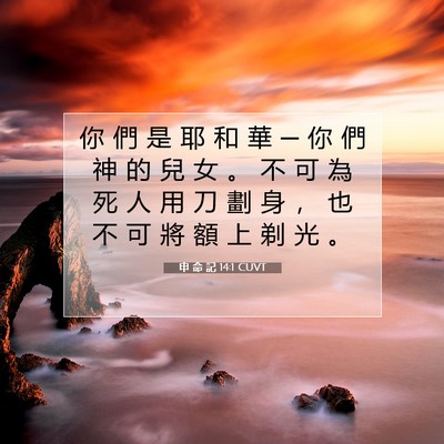 Picture 07 - 申 命 記 14:1 CUVT - 你 們 是 耶 和 華 ─ 你 們 神 的 兒 - Bible Verse Picture