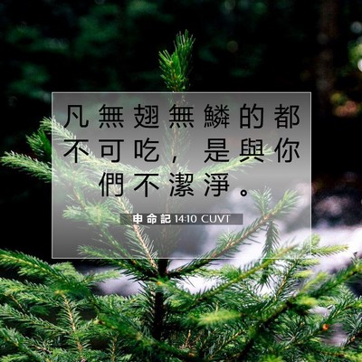 Picture 07 - 申 命 記 14:10 CUVT - 凡 無 翅 無 鱗 的 都 不 可 吃 ， 是 - Bible Verse Picture