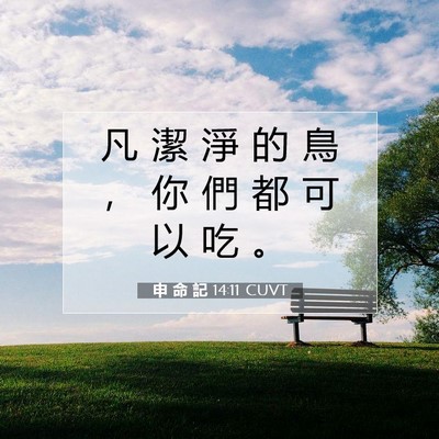 Picture 07 - 申 命 記 14:11 CUVT - 凡 潔 淨 的 鳥 ， 你 們 都 可 以 吃 - Bible Verse Picture