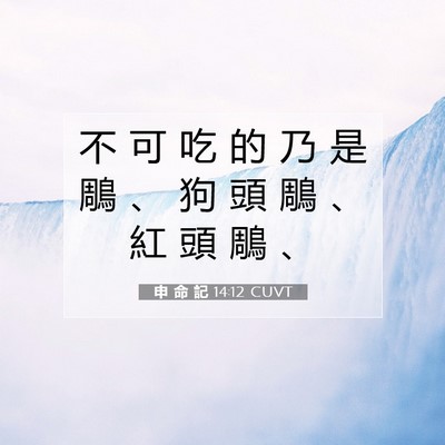 Picture 07 - 申 命 記 14:12 CUVT - 不 可 吃 的 乃 是 鵰 、 狗 頭 鵰 、 - Bible Verse Picture