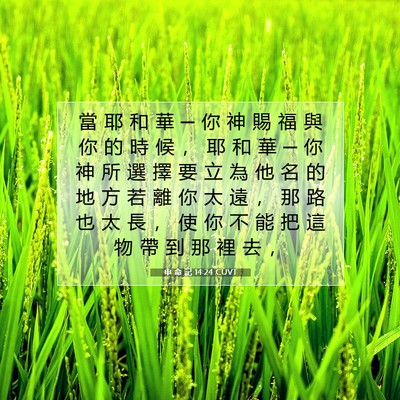 Picture 07 - 申 命 記 14:24 CUVT - 當 耶 和 華 ─ 你 神 賜 福 與 你 的 - Bible Verse Picture