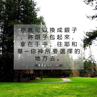 Picture 07 - 申 命 記 14:25 CUVT - 你 就 可 以 換 成 銀 子 ， 將 銀 子 - Bible Verse Picture
