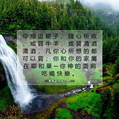 Picture 07 - 申 命 記 14:26 CUVT - 你 用 這 銀 子 ， 隨 心 所 欲 ， 或 - Bible Verse Picture