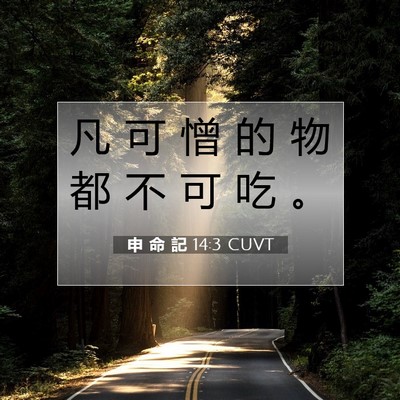 Picture 07 - 申 命 記 14:3 CUVT - 凡 可 憎 的 物 都 不 可 吃 - Bible Verse Picture