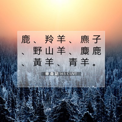 Picture 07 - 申 命 記 14:5 CUVT - 鹿 、 羚 羊 、 麃 子 、 野 山 羊 、 - Bible Verse Picture