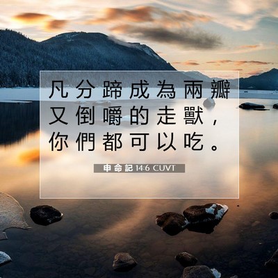 Picture 07 - 申 命 記 14:6 CUVT - 凡 分 蹄 成 為 兩 瓣 又 倒 嚼 的 走 - Bible Verse Picture