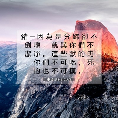 Picture 07 - 申 命 記 14:8 CUVT - 豬 ─ 因 為 是 分 蹄 卻 不 倒 嚼 ， - Bible Verse Picture