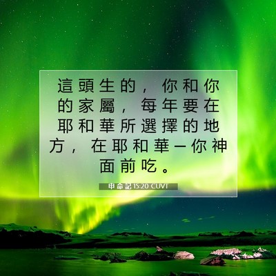 Picture 07 - 申 命 記 15:20 CUVT - 這 頭 生 的 ， 你 和 你 的 家 屬 ， - Bible Verse Picture