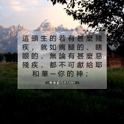 Picture 07 - 申 命 記 15:21 CUVT - 這 頭 生 的 若 有 甚 麼 殘 疾 ， 就 - Bible Verse Picture