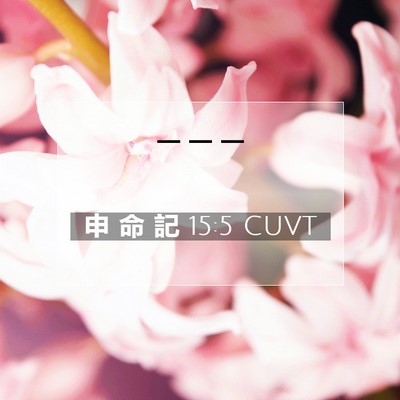 Picture 07 - 申 命 記 15:5 CUVT -  - Bible Verse Picture