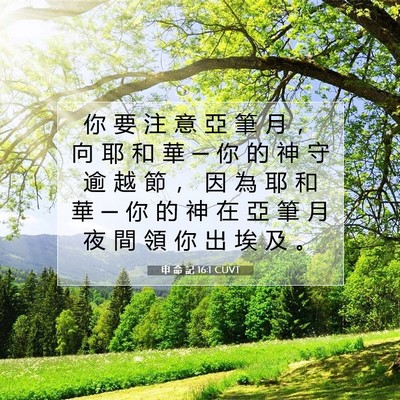 Picture 07 - 申 命 記 16:1 CUVT - 你 要 注 意 亞 筆 月 ， 向 耶 和 華 - Bible Verse Picture