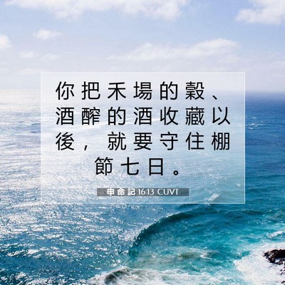 Picture 07 - 申 命 記 16:13 CUVT - 你 把 禾 場 的 穀 、 酒 醡 的 酒 收 - Bible Verse Picture