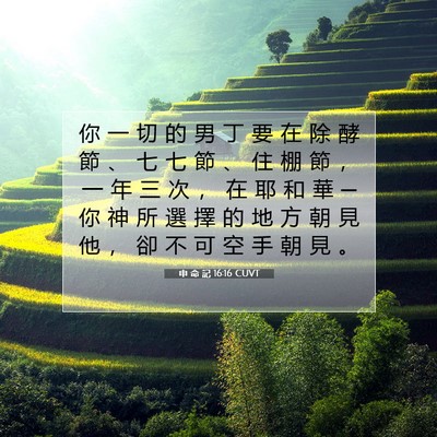 Picture 07 - 申 命 記 16:16 CUVT - 你 一 切 的 男 丁 要 在 除 酵 節 、 - Bible Verse Picture
