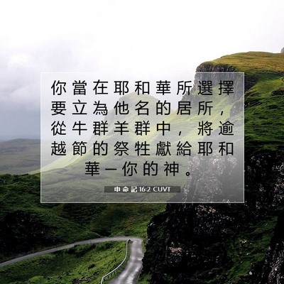Picture 07 - 申 命 記 16:2 CUVT - 你 當 在 耶 和 華 所 選 擇 要 立 為 - Bible Verse Picture