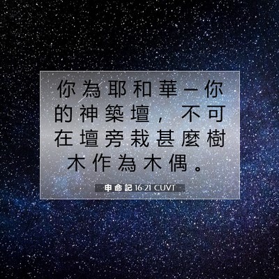 Picture 07 - 申 命 記 16:21 CUVT - 你 為 耶 和 華 ─ 你 的 神 築 壇 ， - Bible Verse Picture
