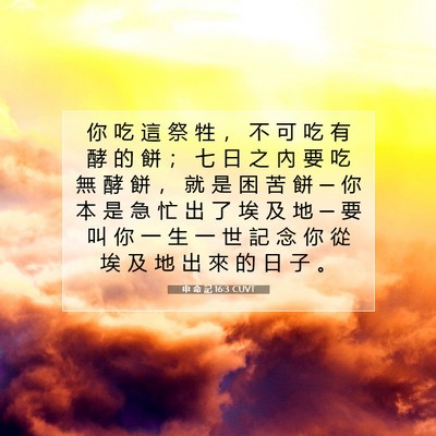 Picture 07 - 申 命 記 16:3 CUVT - 你 吃 這 祭 牲 ， 不 可 吃 有 酵 的 - Bible Verse Picture