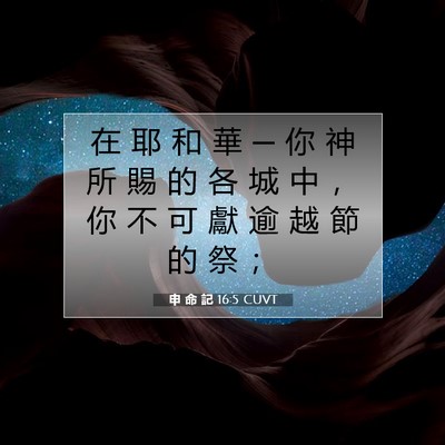 Picture 07 - 申 命 記 16:5 CUVT - 在 耶 和 華 ─ 你 神 所 賜 的 各 城 - Bible Verse Picture