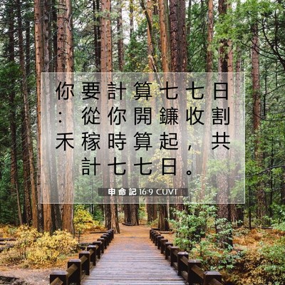 Picture 07 - 申 命 記 16:9 CUVT - 你 要 計 算 七 七 日 ： 從 你 開 鐮 - Bible Verse Picture