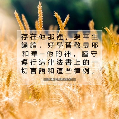 Picture 07 - 申 命 記 17:19 CUVT - 存 在 他 那 裡 ， 要 平 生 誦 讀 ， - Bible Verse Picture