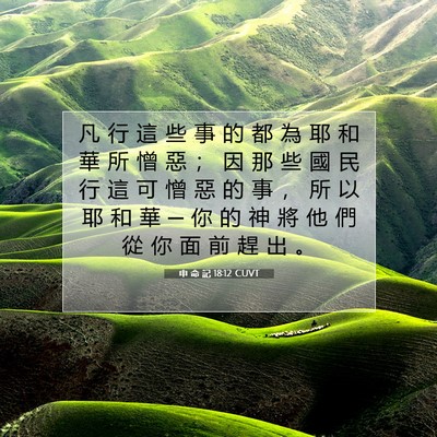Picture 07 - 申 命 記 18:12 CUVT - 凡 行 這 些 事 的 都 為 耶 和 華 所 - Bible Verse Picture
