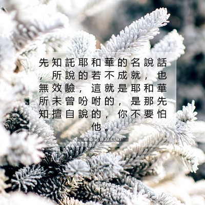 Picture 07 - 申 命 記 18:22 CUVT - 先 知 託 耶 和 華 的 名 說 話 ， 所 - Bible Verse Picture