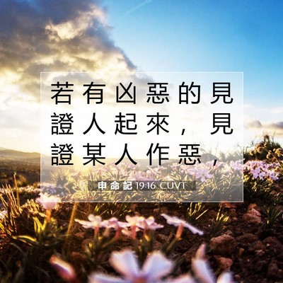 Picture 07 - 申 命 記 19:16 CUVT - 若 有 凶 惡 的 見 證 人 起 來 ， 見 - Bible Verse Picture
