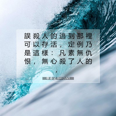 Picture 07 - 申 命 記 19:4 CUVT - 誤 殺 人 的 逃 到 那 裡 可 以 存 活 - Bible Verse Picture